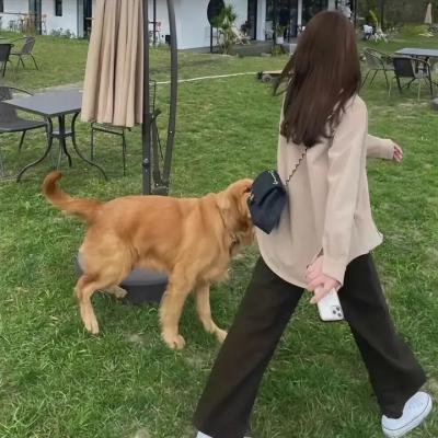 似锦